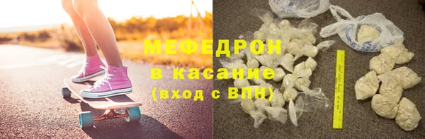 хмурый Аркадак