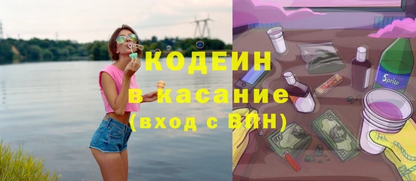 хмурый Аркадак