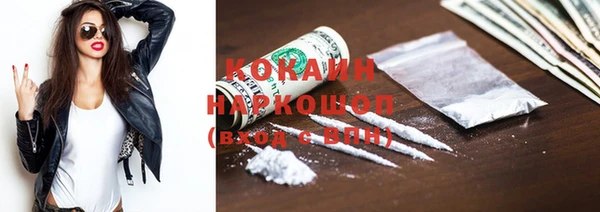 хмурый Аркадак
