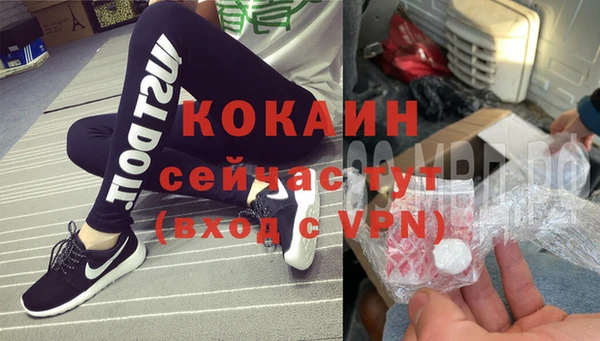 хмурый Аркадак
