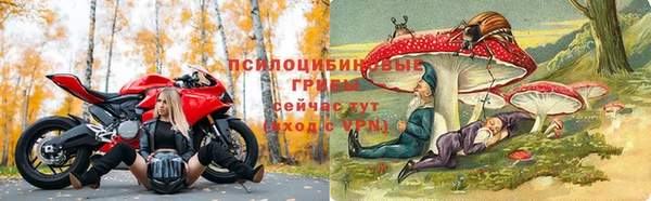 трава Армянск