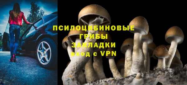 МДМА Козловка