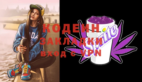 хмурый Аркадак