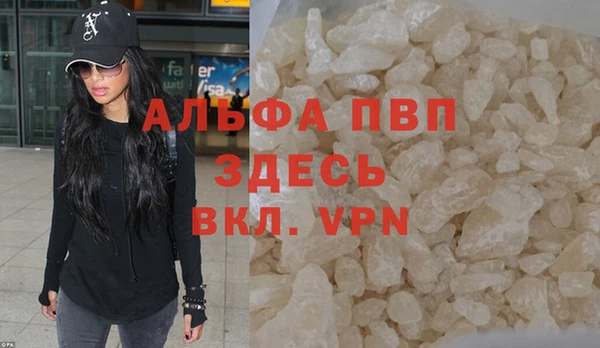 хмурый Аркадак