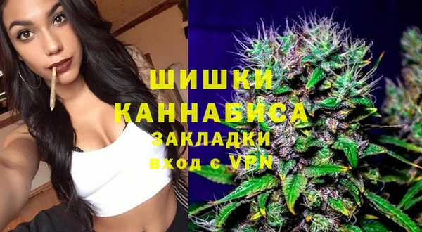 хмурый Аркадак