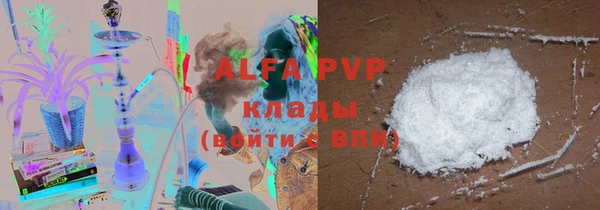 хмурый Аркадак