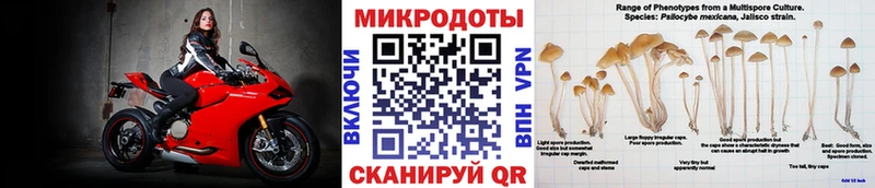 Галлюциногенные грибы Psilocybine cubensis  Валдай 